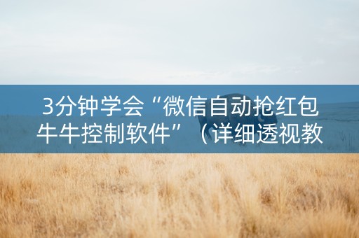 3分钟学会“微信自动抢红包牛牛控制软件”（详细透视教程）-哔哩哔哩