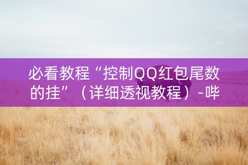 必看教程“控制QQ红包尾数的挂”（详细透视教程）-哔哩哔哩