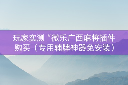 玩家实测“微乐广西麻将插件购买（专用辅牌神器免安装）