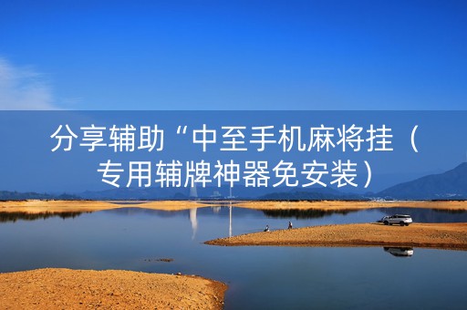 分享辅助“中至手机麻将挂（专用辅牌神器免安装）