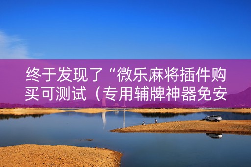 终于发现了“微乐麻将插件购买可测试（专用辅牌神器免安装）