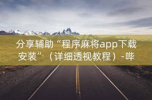 分享辅助“程序麻将app下载安装”（详细透视教程）-哔哩哔哩