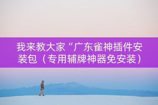 我来教大家“广东雀神插件安装包（专用辅牌神器免安装）