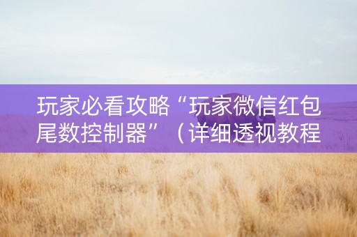 玩家必看攻略“玩家微信红包尾数控制器”（详细透视教程）-哔哩哔哩