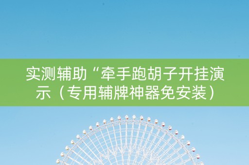 实测辅助“牵手跑胡子开挂演示（专用辅牌神器免安装）