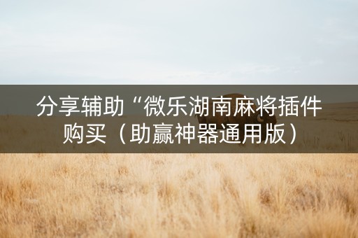 分享辅助“微乐湖南麻将插件购买（助赢神器通用版）