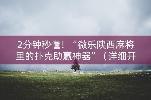 2分钟秒懂！“微乐陕西麻将里的扑克助赢神器”（详细开挂教程）-哔哩哔哩