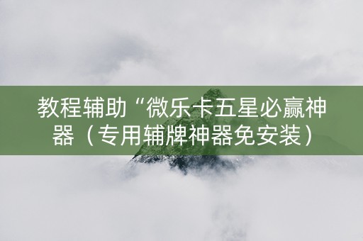 教程辅助“微乐卡五星必赢神器（专用辅牌神器免安装）