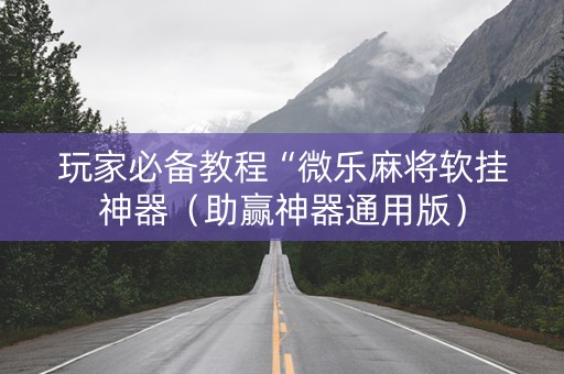 玩家必备教程“微乐麻将软挂神器（助赢神器通用版）