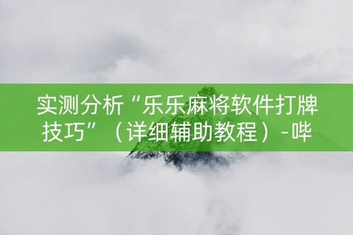 实测分析“乐乐麻将软件打牌技巧”（详细辅助教程）-哔哩哔哩