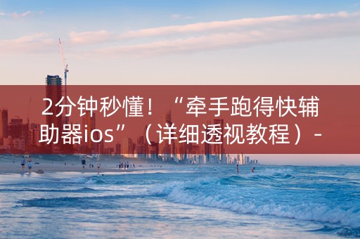 2分钟秒懂！“牵手跑得快辅助器ios”（详细透视教程）-哔哩哔哩