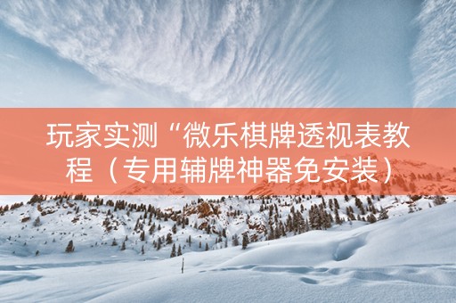 玩家实测“微乐棋牌透视表教程（专用辅牌神器免安装）