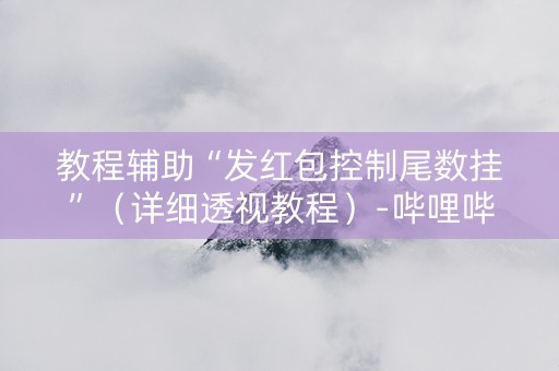 教程辅助“发红包控制尾数挂”（详细透视教程）-哔哩哔哩