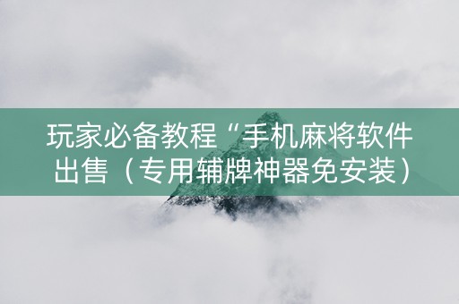 玩家必备教程“手机麻将软件出售（专用辅牌神器免安装）