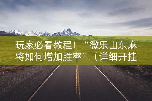玩家必看教程！“微乐山东麻将如何增加胜率”（详细开挂教程）-哔哩哔哩