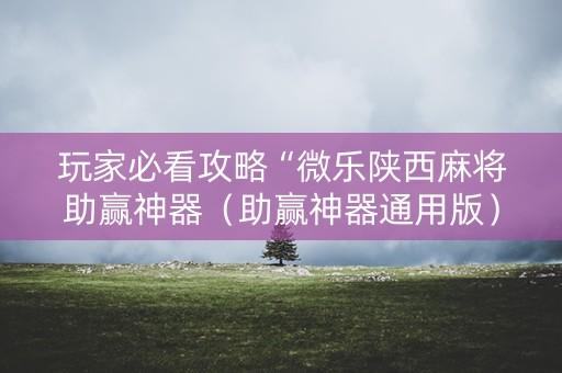 玩家必看攻略“微乐陕西麻将助赢神器（助赢神器通用版）