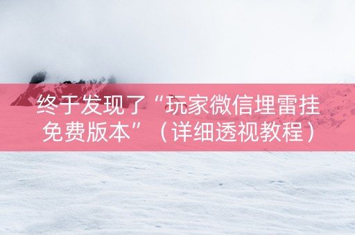 终于发现了“玩家微信埋雷挂免费版本”（详细透视教程）-哔哩哔哩