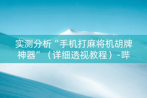 实测分析“手机打麻将机胡牌神器”（详细透视教程）-哔哩哔哩