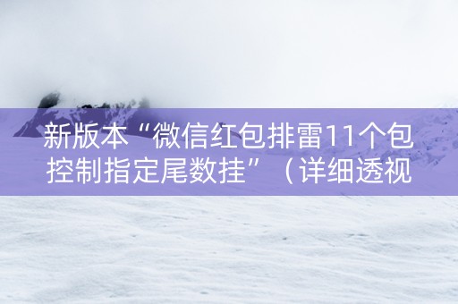 新版本“微信红包排雷11个包控制指定尾数挂”（详细透视教程）-哔哩哔哩