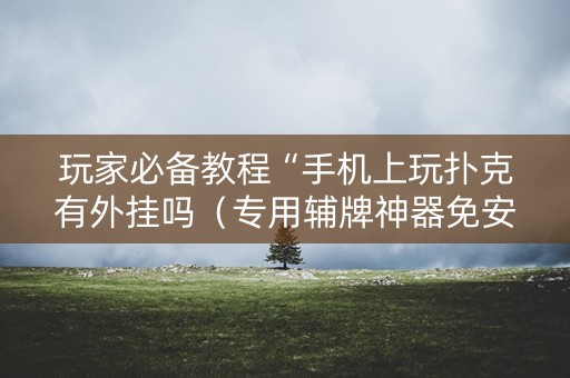 玩家必备教程“手机上玩扑克有外挂吗（专用辅牌神器免安装）
