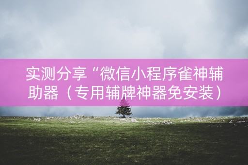 实测分享“微信小程序雀神辅助器（专用辅牌神器免安装）