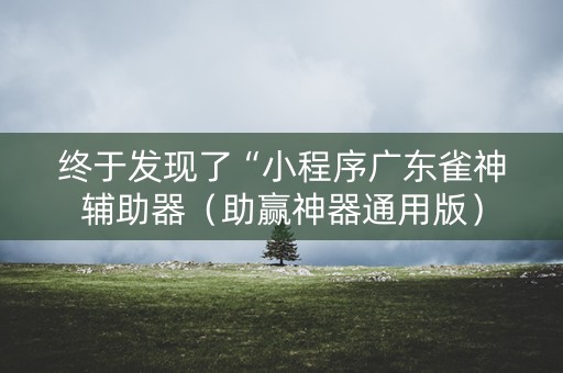 终于发现了“小程序广东雀神辅助器（助赢神器通用版）