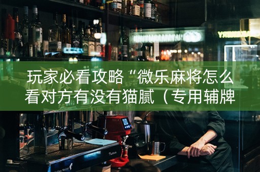 玩家必看攻略“微乐麻将怎么看对方有没有猫腻（专用辅牌神器免安装）