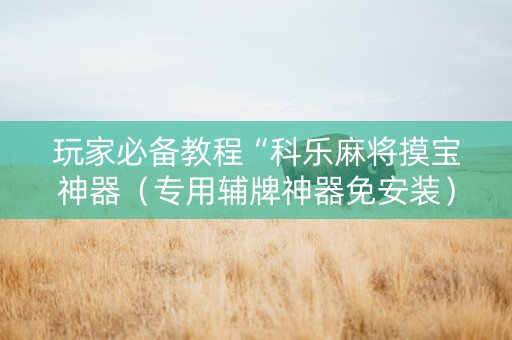 玩家必备教程“科乐麻将摸宝神器（专用辅牌神器免安装）