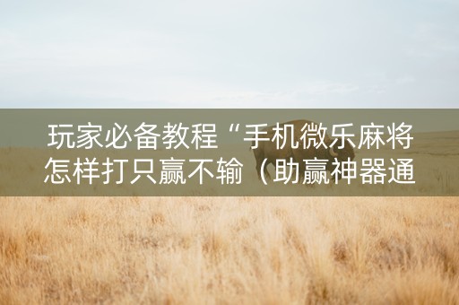 玩家必备教程“手机微乐麻将怎样打只赢不输（助赢神器通用版）