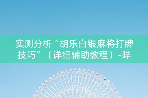 实测分析“胡乐白银麻将打牌技巧”（详细辅助教程）-哔哩哔哩