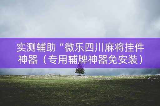 实测辅助“微乐四川麻将挂件神器（专用辅牌神器免安装）