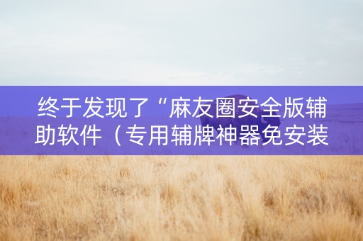 终于发现了“麻友圈安全版辅助软件（专用辅牌神器免安装）