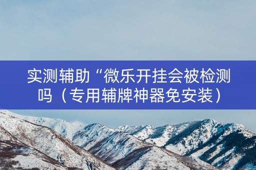 实测辅助“微乐开挂会被检测吗（专用辅牌神器免安装）