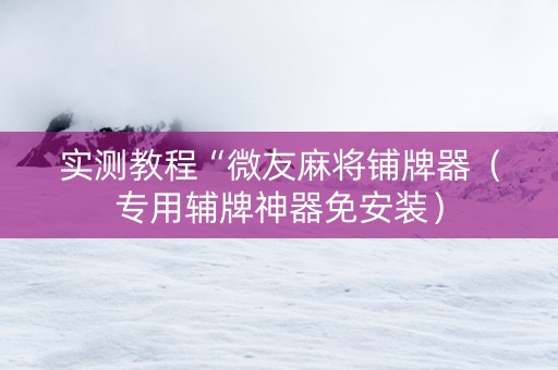 实测教程“微友麻将铺牌器（专用辅牌神器免安装）