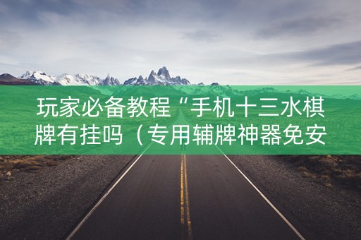 玩家必备教程“手机十三水棋牌有挂吗（专用辅牌神器免安装）