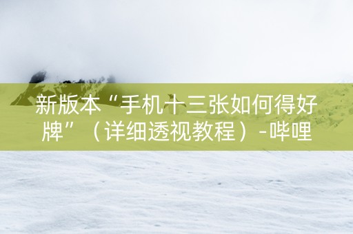 新版本“手机十三张如何得好牌”（详细透视教程）-哔哩哔哩