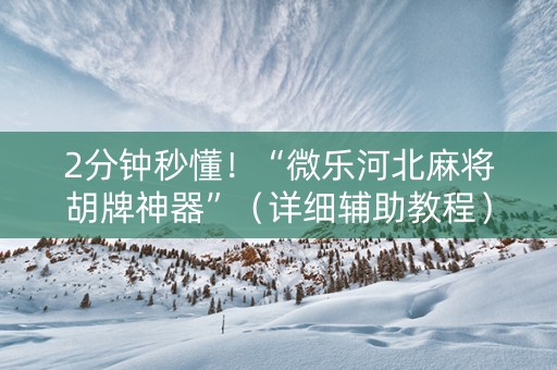 2分钟秒懂！“微乐河北麻将胡牌神器”（详细辅助教程）-哔哩哔哩
