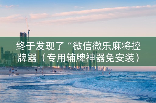 终于发现了“微信微乐麻将控牌器（专用辅牌神器免安装）