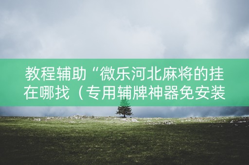 教程辅助“微乐河北麻将的挂在哪找（专用辅牌神器免安装）