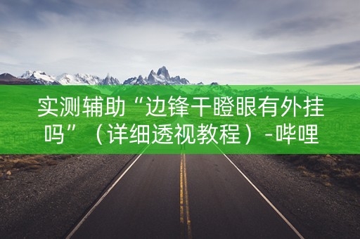 实测辅助“边锋干瞪眼有外挂吗”（详细透视教程）-哔哩哔哩