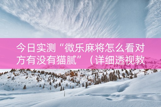 今日实测“微乐麻将怎么看对方有没有猫腻”（详细透视教程）-哔哩哔哩