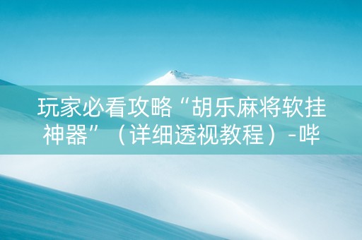 玩家必看攻略“胡乐麻将软挂神器”（详细透视教程）-哔哩哔哩