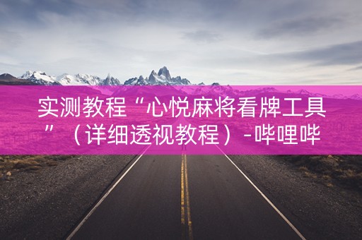 实测教程“心悦麻将看牌工具”（详细透视教程）-哔哩哔哩