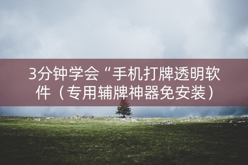 3分钟学会“手机打牌透明软件（专用辅牌神器免安装）