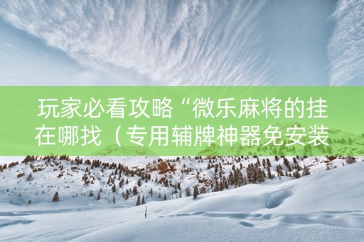 玩家必看攻略“微乐麻将的挂在哪找（专用辅牌神器免安装）