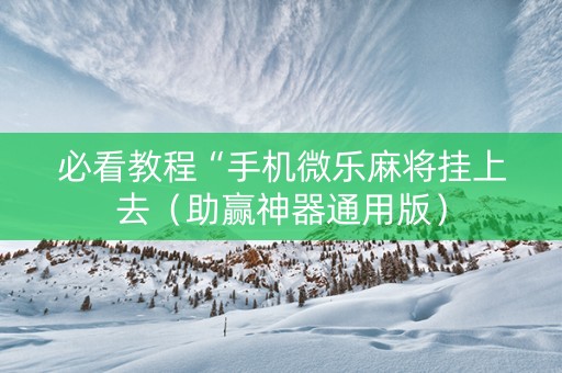 必看教程“手机微乐麻将挂上去（助赢神器通用版）