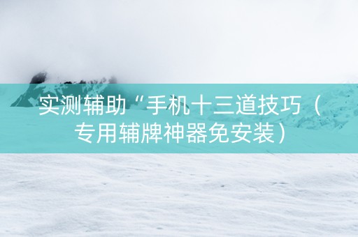 实测辅助“手机十三道技巧（专用辅牌神器免安装）