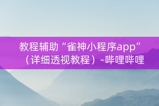 教程辅助“雀神小程序app”（详细透视教程）-哔哩哔哩
