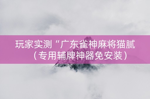 玩家实测“广东雀神麻将猫腻（专用辅牌神器免安装）