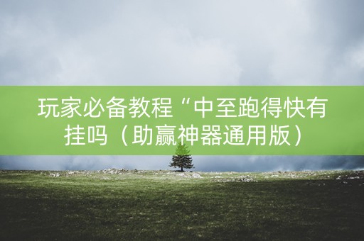 玩家必备教程“中至跑得快有挂吗（助赢神器通用版）